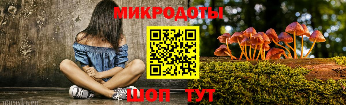 Псилоцибиновые грибы Cubensis Тосно