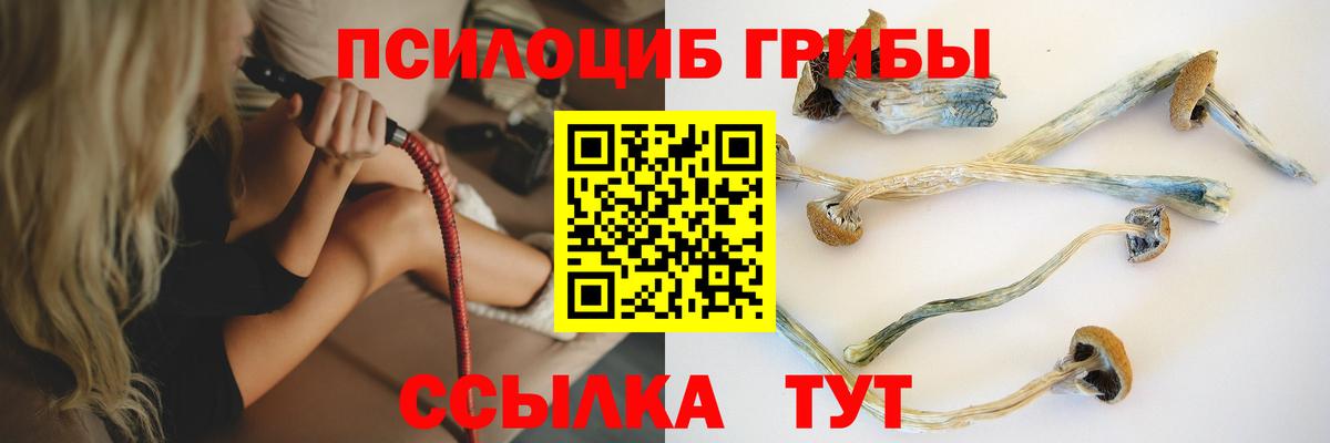 Тосно  Галлюциногенные грибы GOLDEN TEACHER  Галлюциногенные грибы MAGIC MUSHROOMS  Вход с VPN 